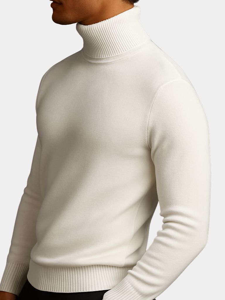 Aurelius Wool Turtleneck - Fayymont Co