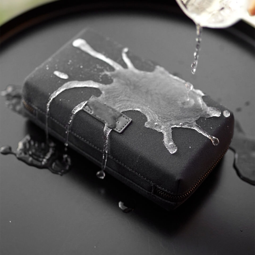 Regent Travel Organizer